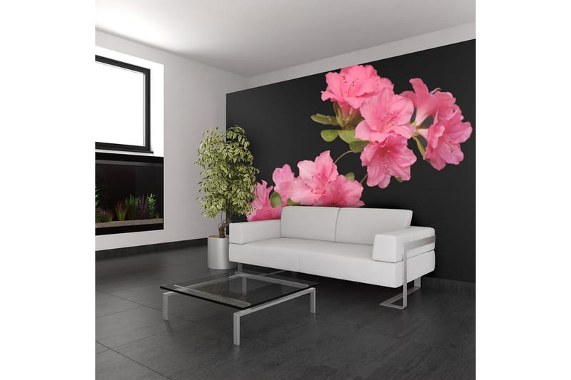 Fototapet Azalea In Black 300x231 - Artgeist sp. z o. o. - Inredning - Väggdekor - Tapet & tapettillbehör - Fototapet