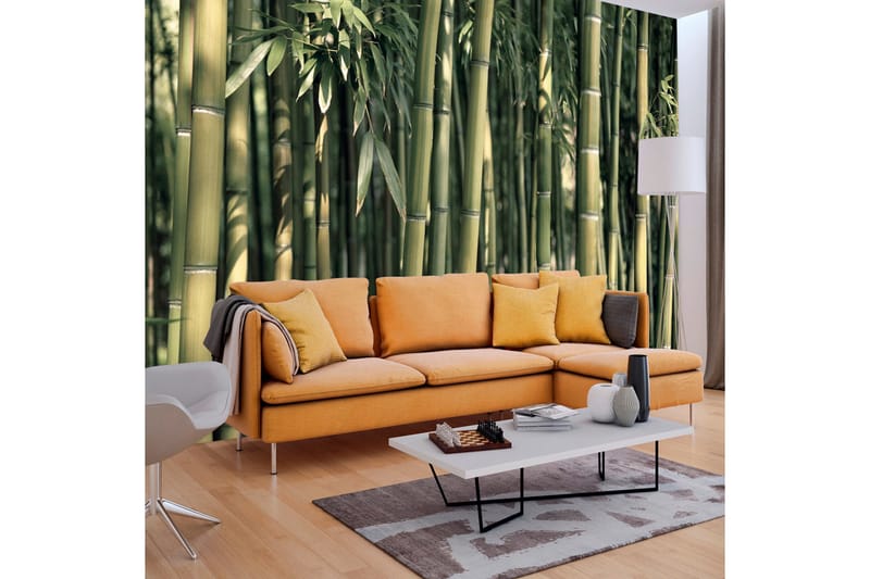Fototapet Bamboo Exotic 300x210 - Artgeist sp. z o. o. - Inredning - Väggdekor - Tapet & tapettillbehör - Fototapet