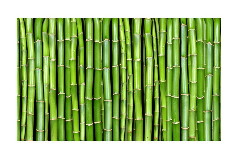 Fototapet Bamboo Wall 450x270 - Artgeist sp. z o. o. - Inredning - Väggdekor - Tapet & tapettillbehör - Fototapet