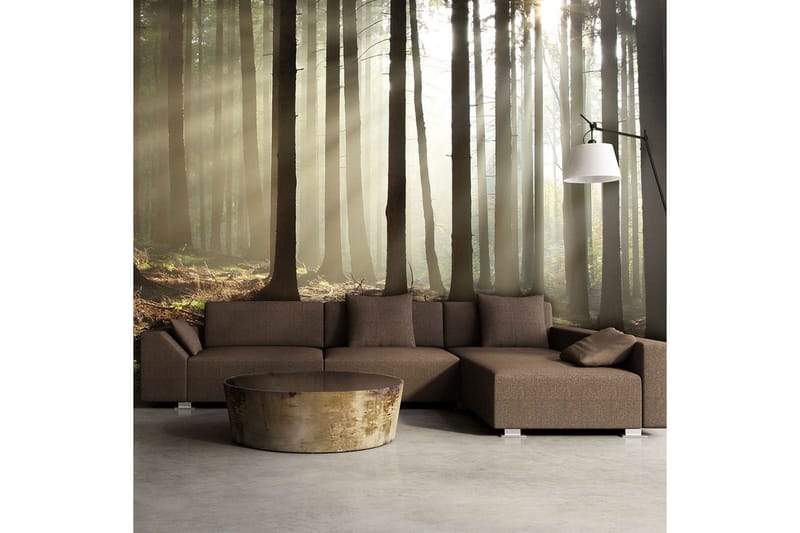 Fototapet Barrskog 450x270, Artgeist sp. z o. o.