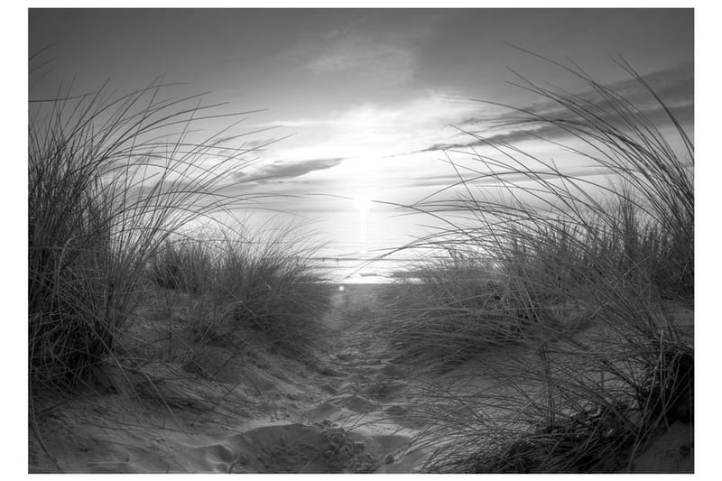 Fototapet Beach Black And White 350x245 - Artgeist sp. z o. o. - Inredning - Väggdekor - Tapet & tapettillbehör - Fototapet