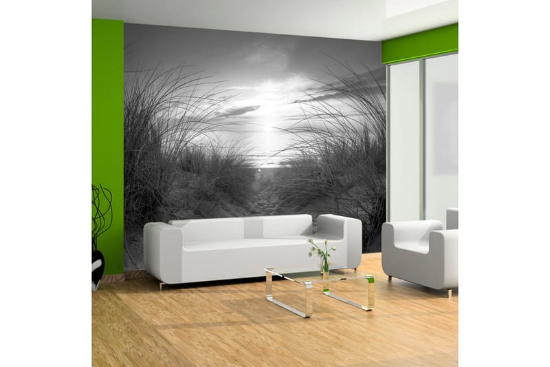 Fototapet Beach Black And White 350x245 - Artgeist sp. z o. o. - Inredning - Väggdekor - Tapet & tapettillbehör - Fototapet