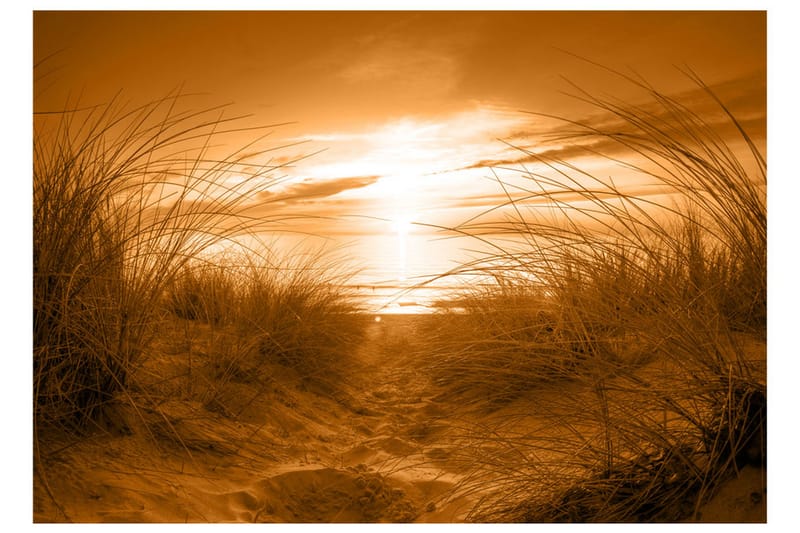 Fototapet Beach Sepia 300x210 - Artgeist sp. z o. o. - Inredning - Väggdekor - Tapet & tapettillbehör - Fototapet