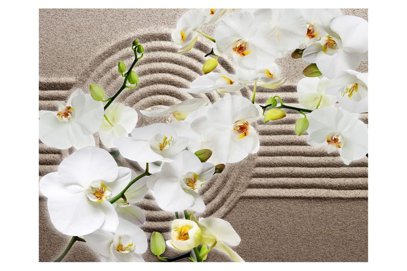 Fototapet Beautiful Zen Garden 400x309, Artgeist sp. z o. o.