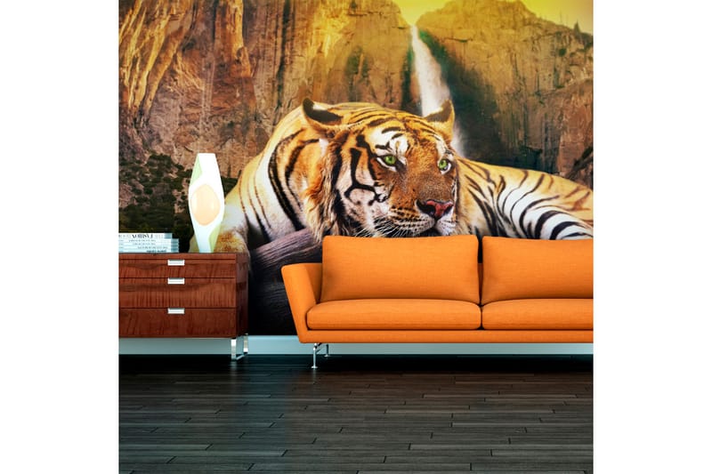 Fototapet Beauty And The Beast 450x270 - Artgeist sp. z o. o. - Inredning - Väggdekor - Tapet & tapettillbehör - Fototapet