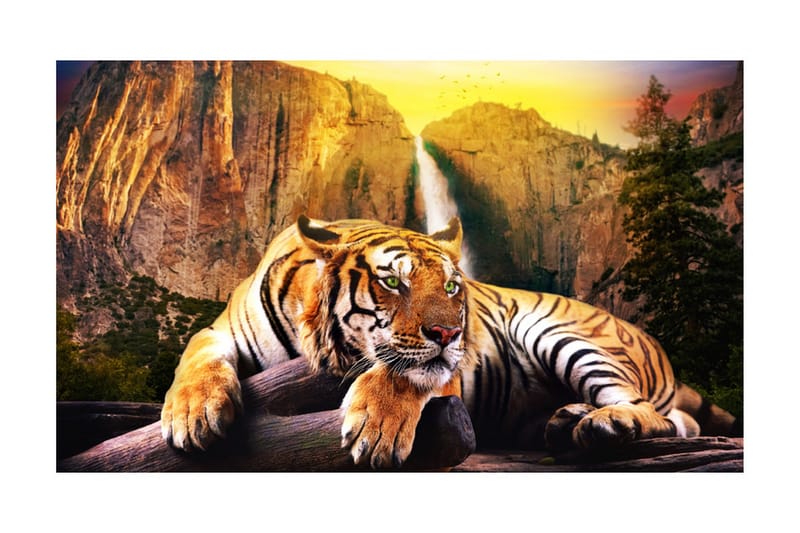 Fototapet Beauty And The Beast 450x270 - Artgeist sp. z o. o. - Inredning - Väggdekor - Tapet & tapettillbehör - Fototapet