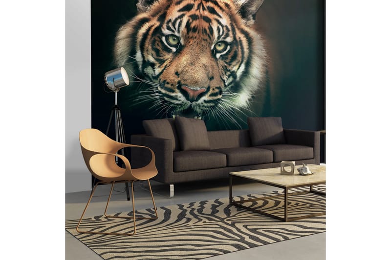 Fototapet Bengal Tiger 250x193 - Artgeist sp. z o. o. - Inredning - Väggdekor - Tapet & tapettillbehör - Fototapet