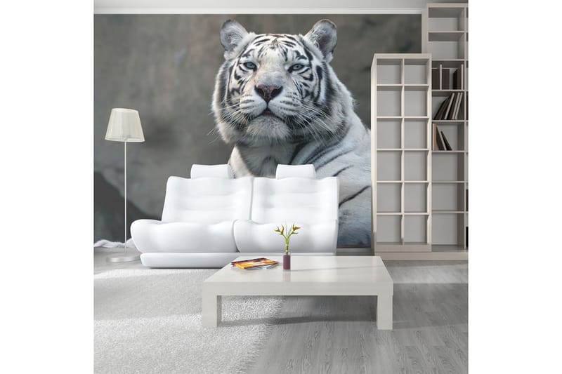 Fototapet Bengali Tiger Zoo 200x154 - Artgeist sp. z o. o. - Inredning - Väggdekor - Tapet & tapettillbehör - Fototapet
