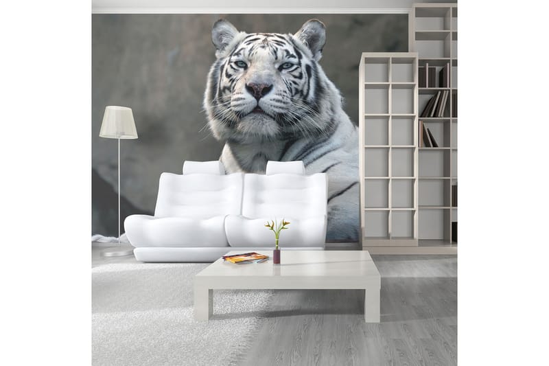 Fototapet Bengali Tiger Zoo 450x270 - Artgeist sp. z o. o. - Inredning - Väggdekor - Tapet & tapettillbehör - Fototapet
