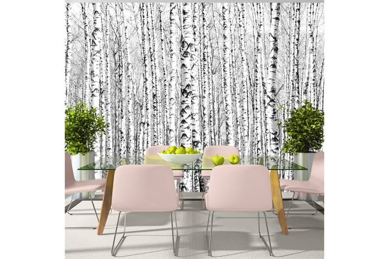 Fototapet Birch Forest 300x210, Artgeist sp. z o. o.