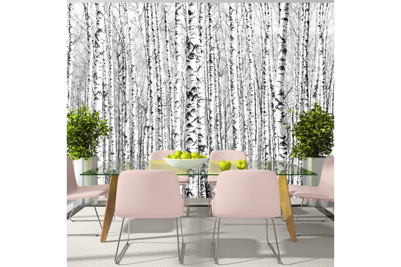 Fototapet Birch Forest 300x210, Artgeist sp. z o. o.