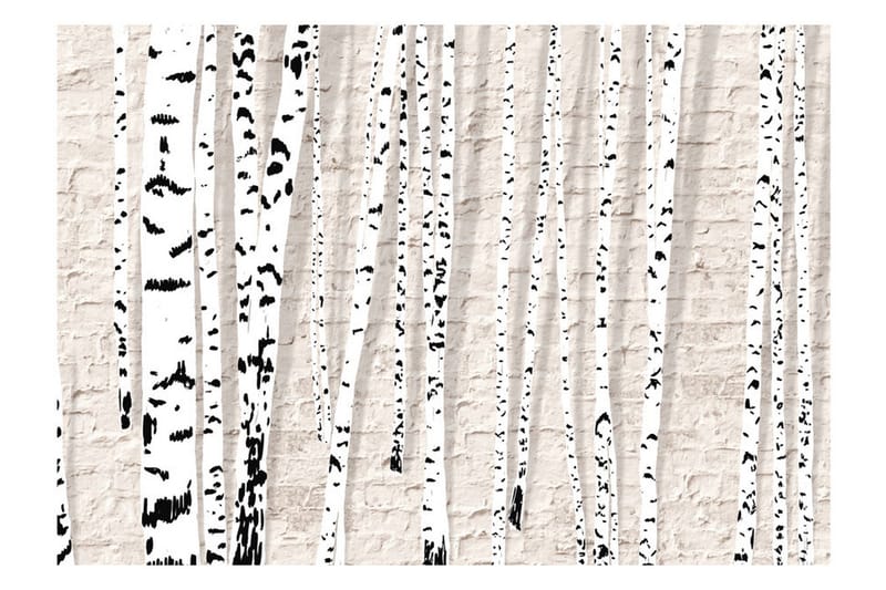 Fototapet Birchen Grove 100x70 - Artgeist sp. z o. o. - Inredning - Väggdekor - Tapet & tapettillbehör - Fototapet
