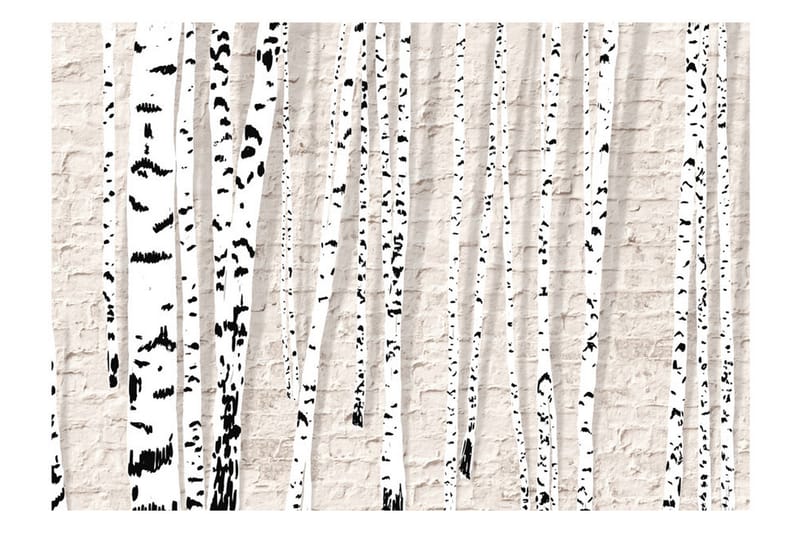 Fototapet Birchen Grove 250x175 - Artgeist sp. z o. o. - Inredning - Väggdekor - Tapet & tapettillbehör - Fototapet