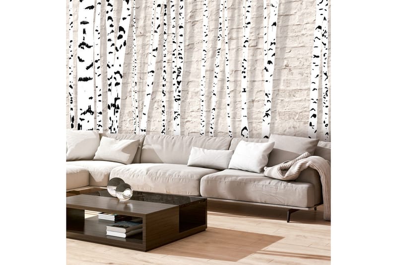 Fototapet Birchen Grove 300x210, Artgeist sp. z o. o.