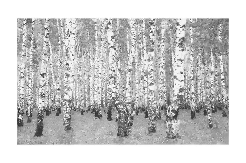 Fototapet Björk Avskildhet 450x270 - Artgeist sp. z o. o. - Inredning - Väggdekor - Tapet & tapettillbehör - Fototapet