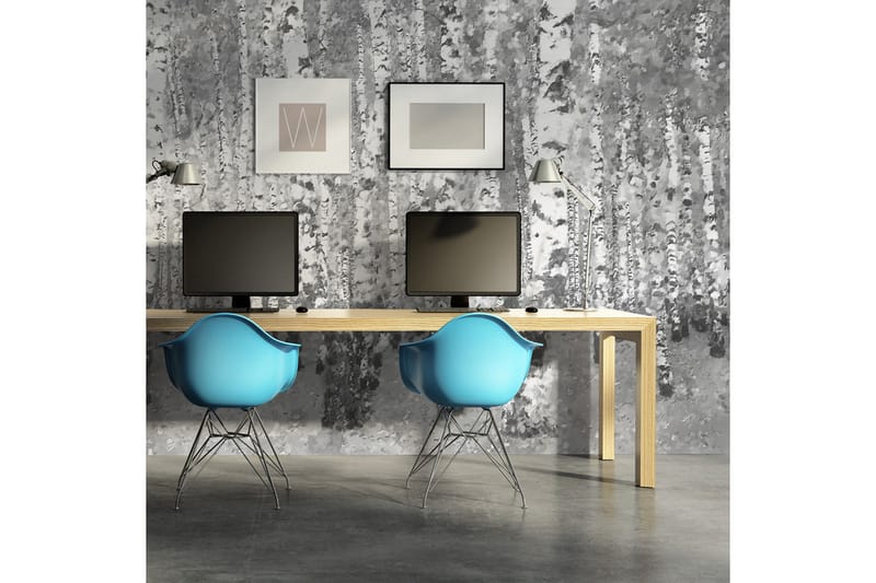 Fototapet Björk Avskildhet 450x270, Artgeist sp. z o. o.