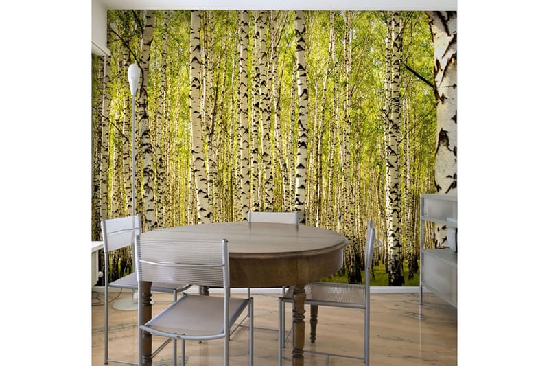 Fototapet Björkskog 200x154, Artgeist sp. z o. o.