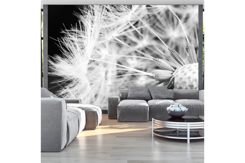 Fototapet Black And White Dandelion 250x175 - Artgeist sp. z o. o. - Inredning - Väggdekor - Tapet & tapettillbehör - Fototapet