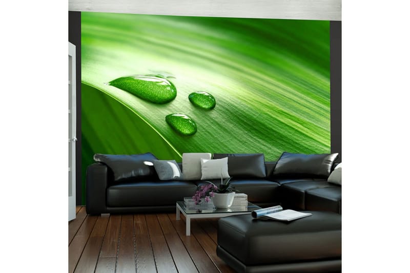 Fototapet Blad Och Tre Droppar Vatten 200x154 - Artgeist sp. z o. o. - Inredning - Väggdekor - Tapet & tapettillbehör - Fototapet