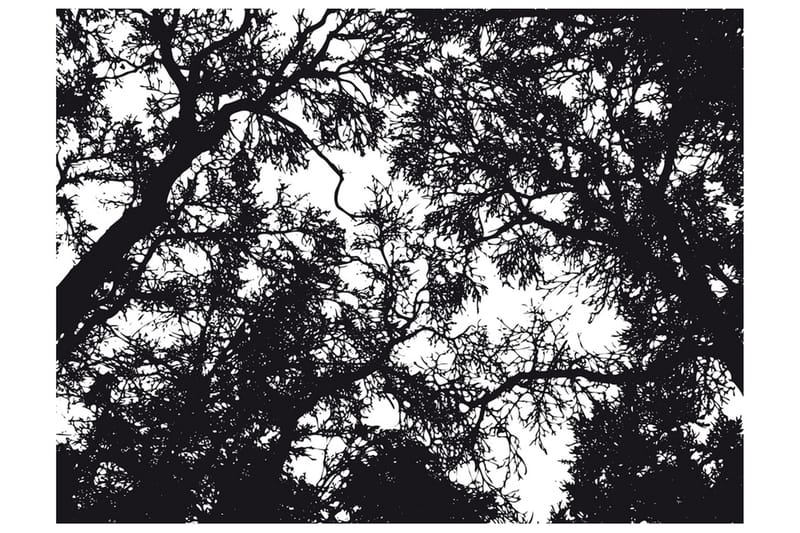 Fototapet Bleak Forest 300x231 - Artgeist sp. z o. o. - Inredning - Väggdekor - Tapet & tapettillbehör - Fototapet