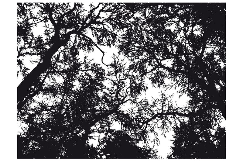 Fototapet Bleak Forest 300x231 - Artgeist sp. z o. o. - Inredning - Väggdekor - Tapet & tapettillbehör - Fototapet