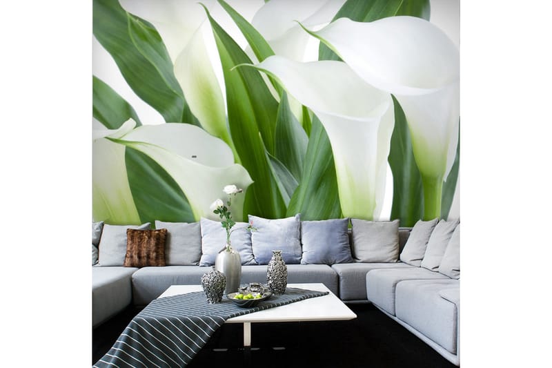 Fototapet Blombukett Kallor 200x154, Artgeist sp. z o. o.