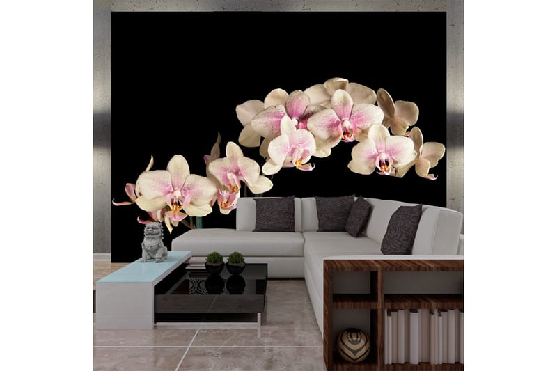 Fototapet Blooming Orchid 350x270, Artgeist sp. z o. o.