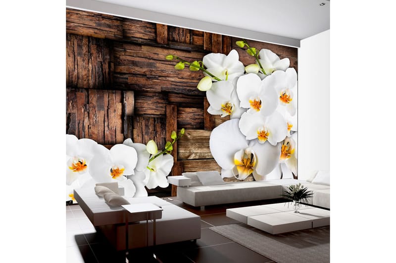 Fototapet Blooming Orchids 350x245 - Artgeist sp. z o. o. - Inredning - Väggdekor - Tapet & tapettillbehör - Fototapet