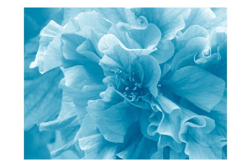 Fototapet Blue Azalea 400x309 - Artgeist sp. z o. o. - Inredning - Väggdekor - Tapet & tapettillbehör - Fototapet