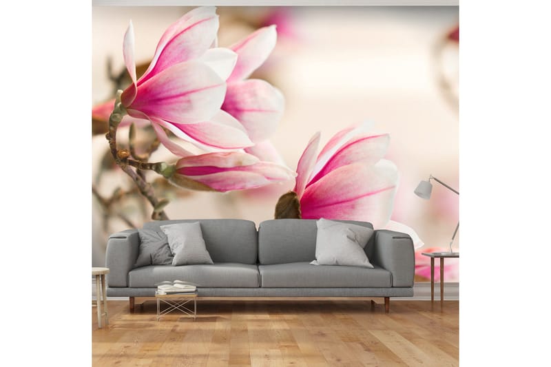 Fototapet Branch Of Magnolia Tree 200x154, Artgeist sp. z o. o.