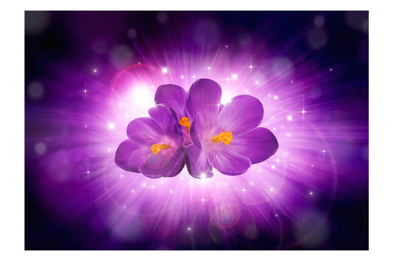 Fototapet Breath Of Spring 100x70 - Artgeist sp. z o. o. - Inredning - Väggdekor - Tapet & tapettillbehör - Fototapet