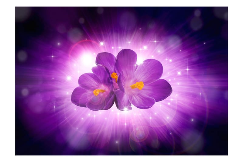 Fototapet Breath Of Spring 400x280 - Artgeist sp. z o. o. - Inredning - Väggdekor - Tapet & tapettillbehör - Fototapet