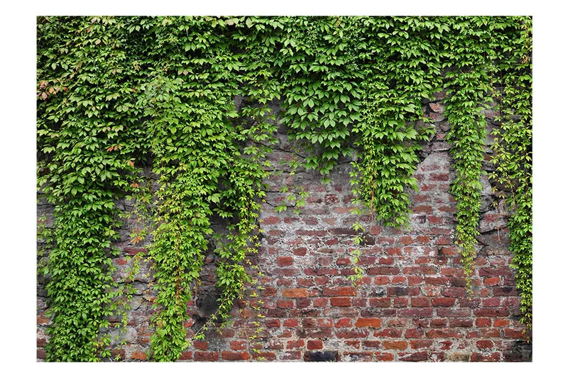 Fototapet Brick And Ivy 100x70 - Artgeist sp. z o. o. - Inredning - Väggdekor - Tapet & tapettillbehör - Fototapet