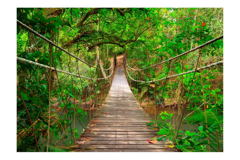 Fototapet Bridge Amid Greenery 400x280 - Artgeist sp. z o. o. - Inredning - Väggdekor - Tapet & tapettillbehör - Fototapet