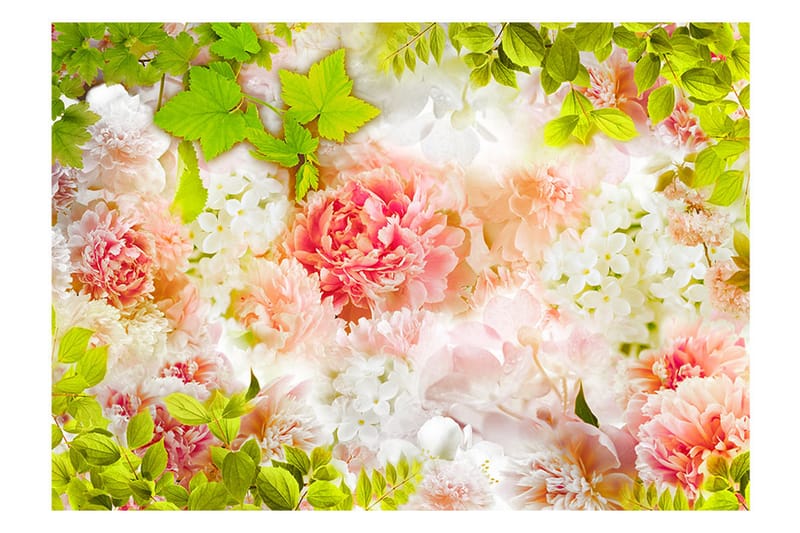 Fototapet Bright Peonies 300x210 - Artgeist sp. z o. o. - Inredning - Väggdekor - Tapet & tapettillbehör - Fototapet