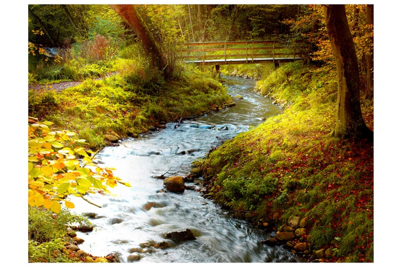 Fototapet Brook Sunrise 300x231 - Artgeist sp. z o. o. - Inredning - Väggdekor - Tapet & tapettillbehör - Fototapet