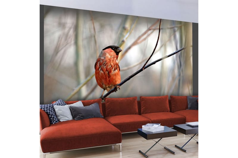 Fototapet Bullfinch In The Forest 350x270 - Artgeist sp. z o. o. - Inredning - Väggdekor - Tapet & tapettillbehör - Fototapet