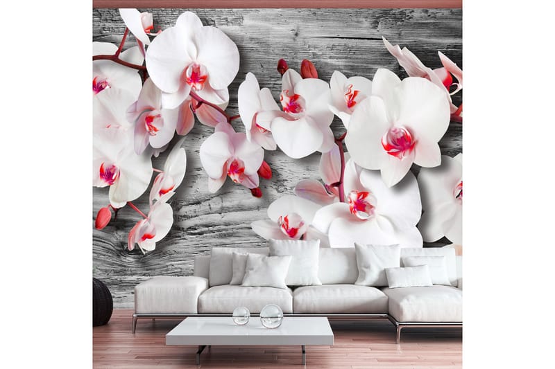 Fototapet Callous Orchids 400x280, Artgeist sp. z o. o.