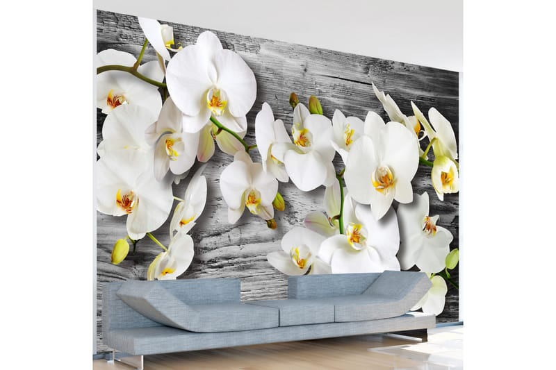Fototapet Callous Orchids III 250x175 - Artgeist sp. z o. o. - Inredning - Väggdekor - Tapet & tapettillbehör - Fototapet
