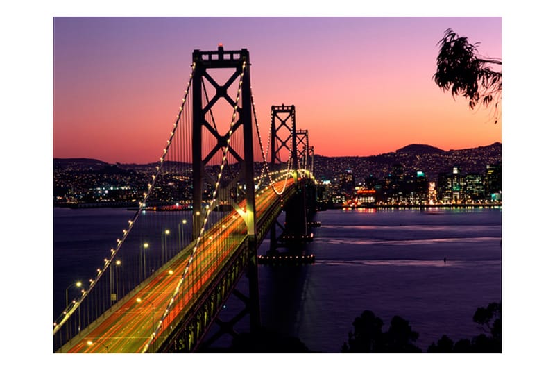 Fototapet Charming Evening In San Francisco 250x193 - Artgeist sp. z o. o. - Inredning - Väggdekor - Tapet & tapettillbehör - Fototapet