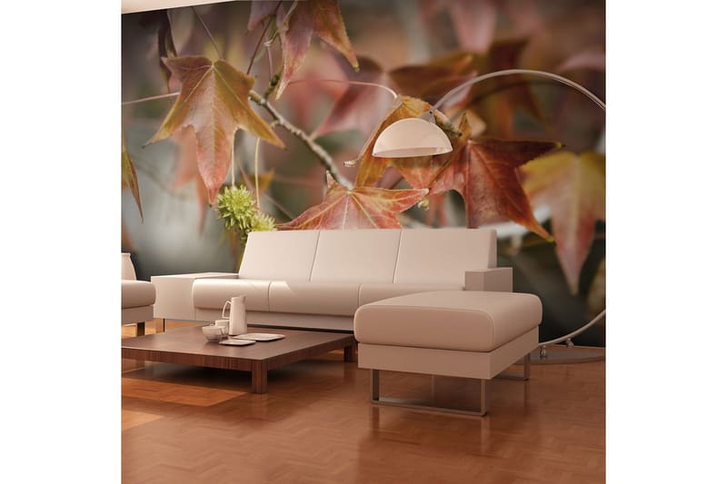 Fototapet Chestnut 300x231 - Artgeist sp. z o. o. - Inredning - Väggdekor - Tapet & tapettillbehör - Fototapet