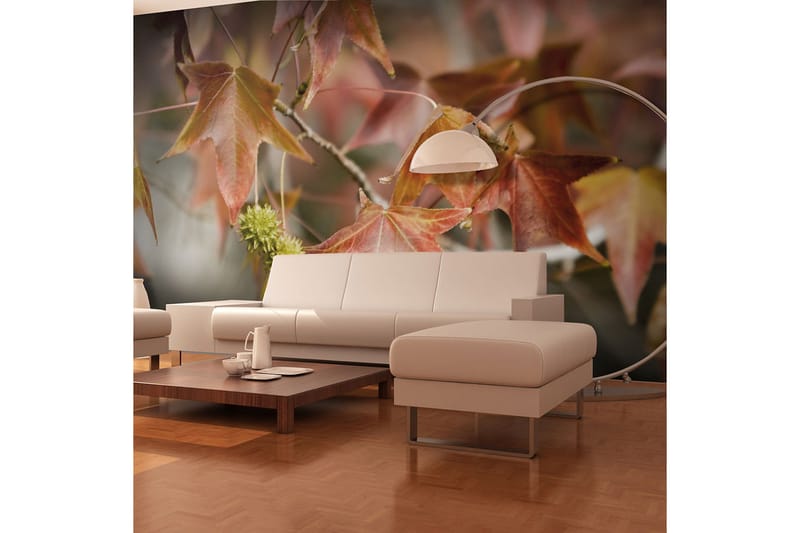 Fototapet Chestnut 350x270, Artgeist sp. z o. o.