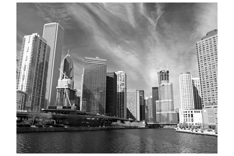 Fototapet Chicago Skyline Svartvitt 250x193, Artgeist sp. z o. o.