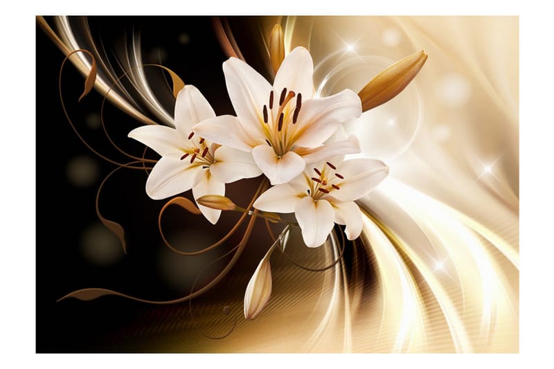 Fototapet Circle Of Light 100x70 - Artgeist sp. z o. o. - Inredning - Väggdekor - Tapet & tapettillbehör - Fototapet