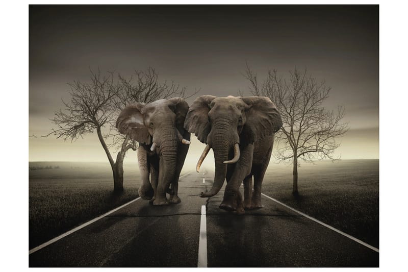 Fototapet City Of Elefanter 350x270, Artgeist sp. z o. o.