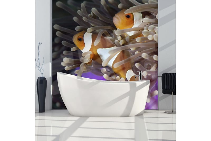 Fototapet Clownfish 250x193 - Artgeist sp. z o. o. - Inredning - Väggdekor - Tapet & tapettillbehör - Fototapet