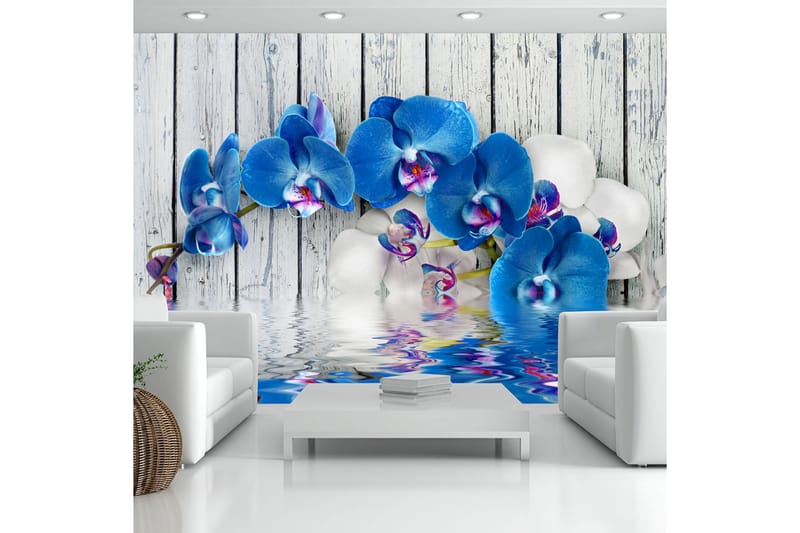 Fototapet Cobaltic Orchid 250x175 - Artgeist sp. z o. o. - Inredning - Väggdekor - Tapet & tapettillbehör - Fototapet