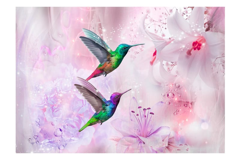 Fototapet Colourful Hummingbirds Purple 300x210 - Artgeist sp. z o. o. - Inredning - Väggdekor - Tapet & tapettillbehör - Fototapet