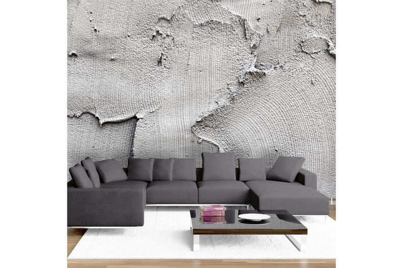 Fototapet Concrete Nothingness 200x140 - Artgeist sp. z o. o. - Inredning - Väggdekor - Tapet & tapettillbehör - Fototapet