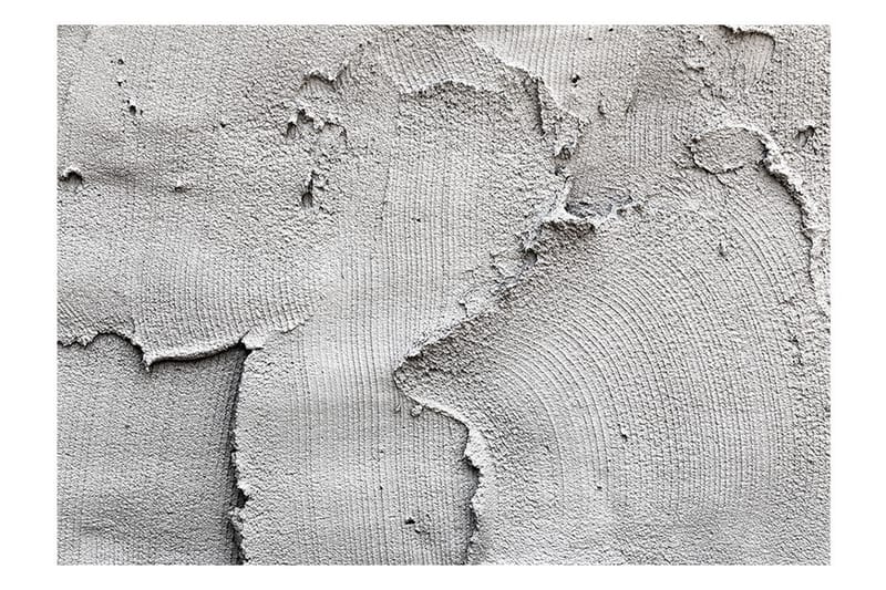 Fototapet Concrete Nothingness 250x175 - Artgeist sp. z o. o. - Inredning - Väggdekor - Tapet & tapettillbehör - Fototapet